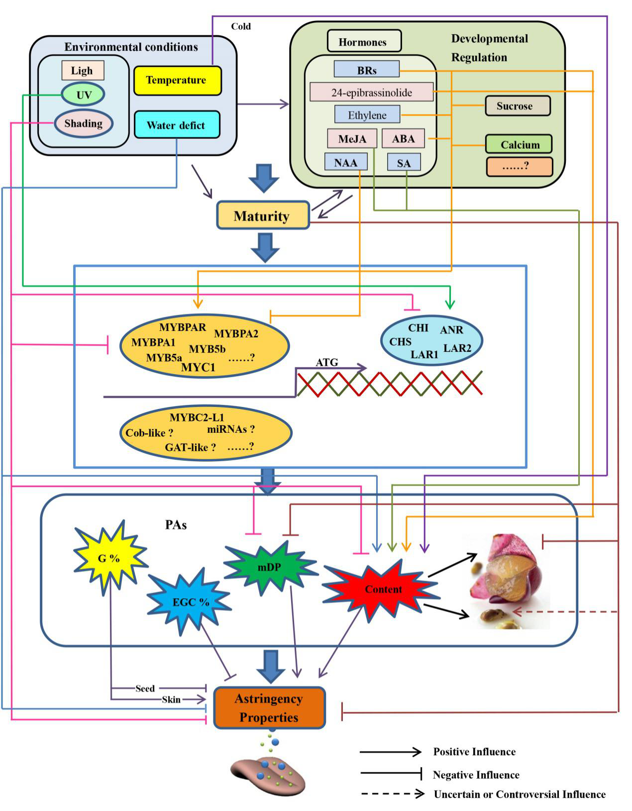 b70e9220d88b4edab7b36f7fe3a7021b.png