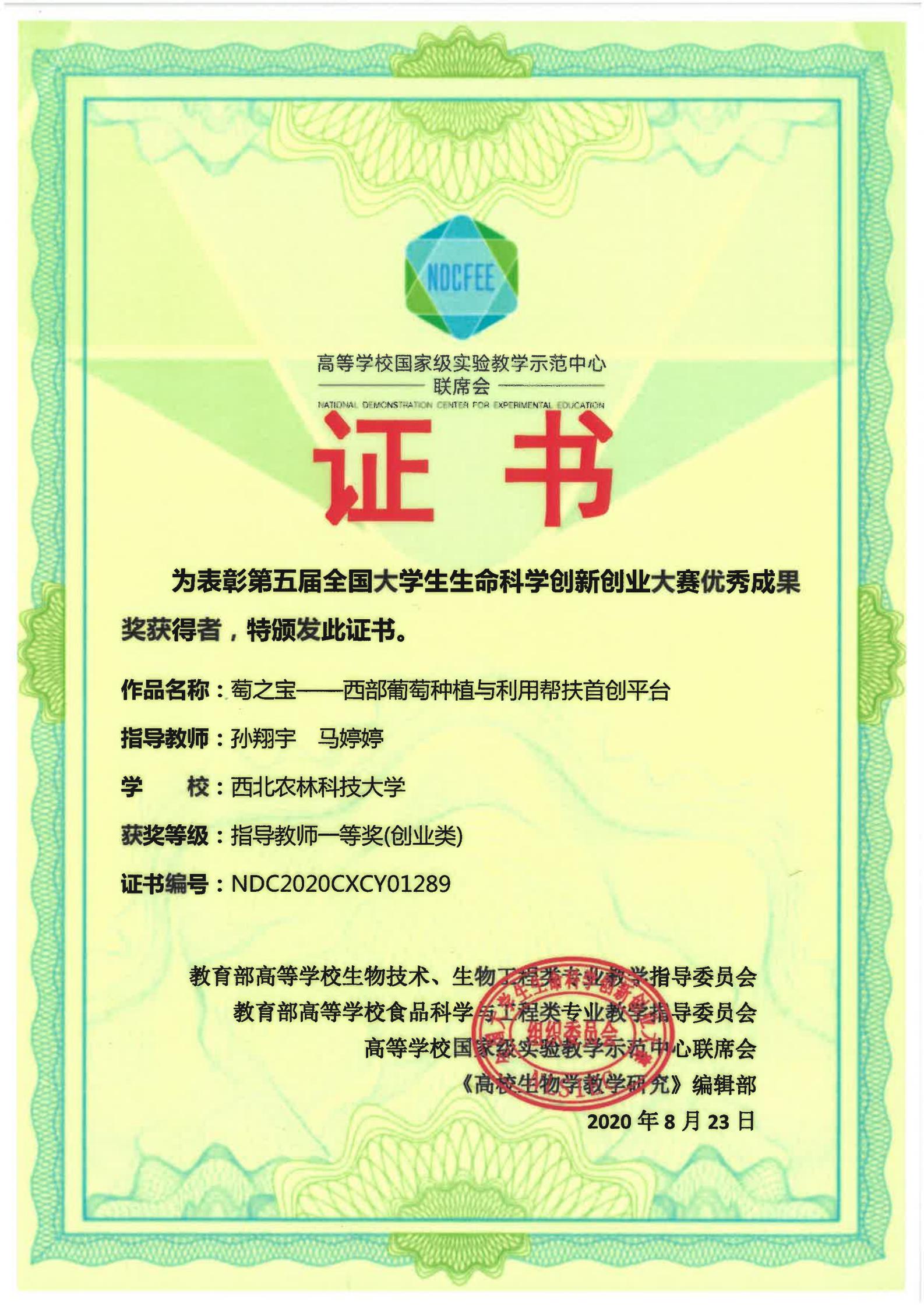 c1ed1a30f2dd47fc8b484026b1c42ea9.jpg