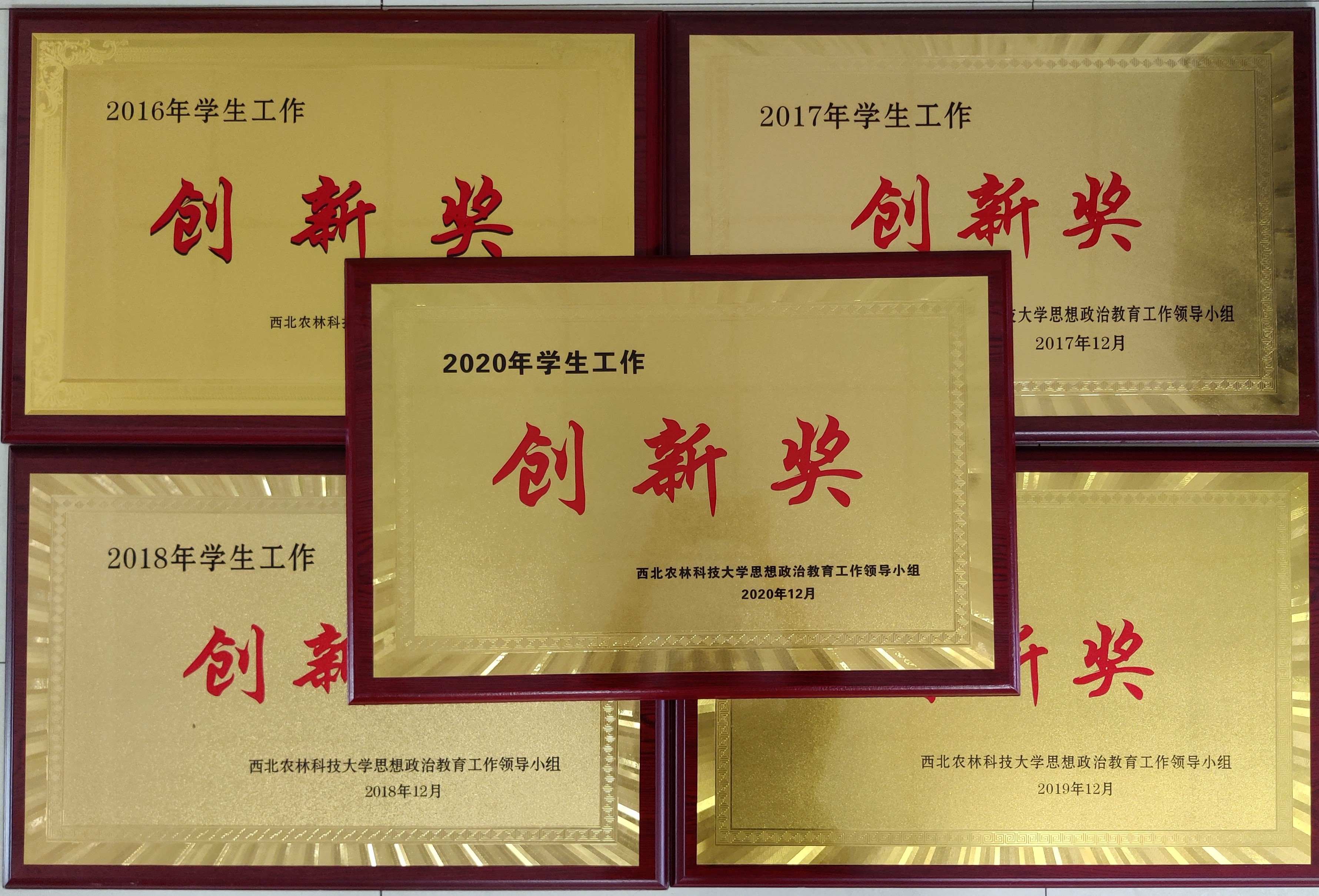 fc3eec12b73f4b51a3b6cde441d6c7d9.jpg