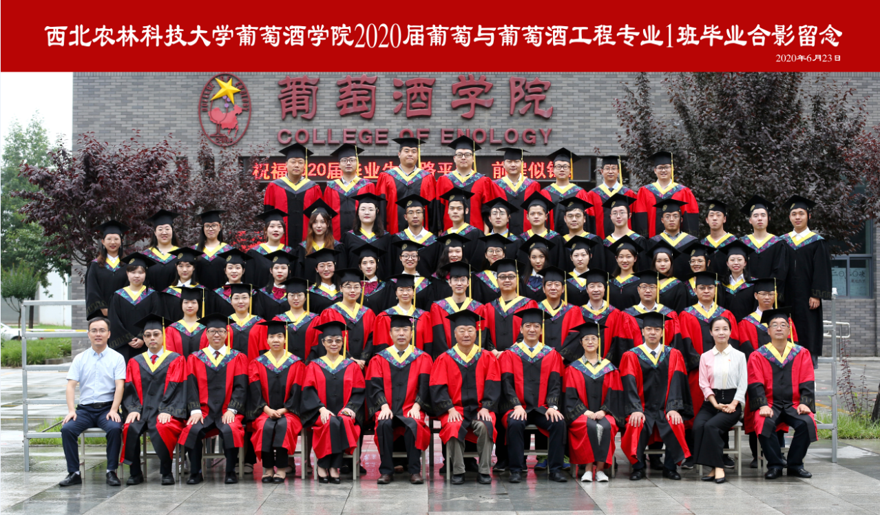 9deceae4adbd44b5bdd3fa31e48acb00.png 9deceae4adbd44b5bdd3fa31e48acb00.png