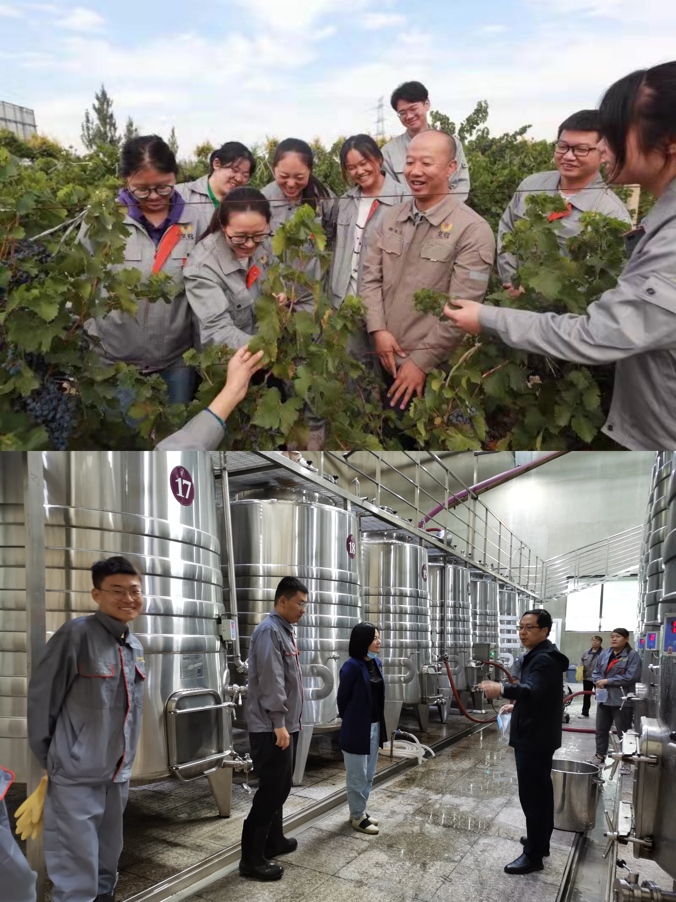 dbbea66c65a640d09bbef20c28a66fe2.jpg dbbea66c65a640d09bbef20c28a66fe2.jpg