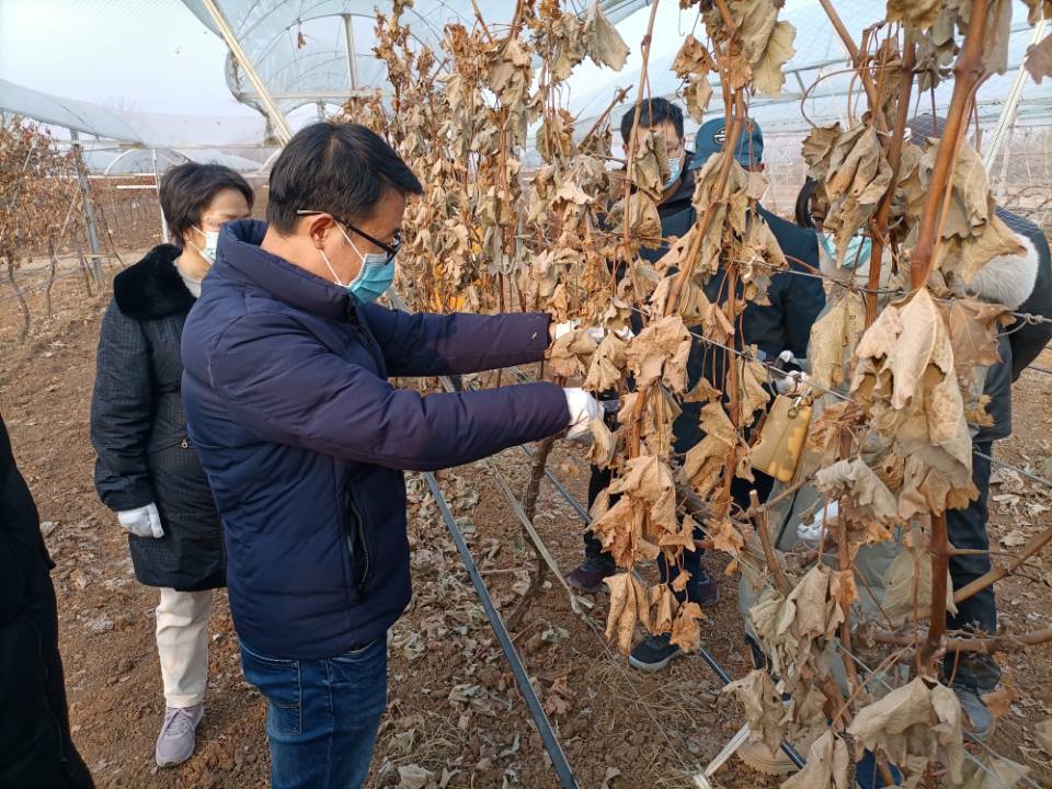 75e7be56724d467495b0e195770ca1bd.jpg 75e7be56724d467495b0e195770ca1bd.jpg