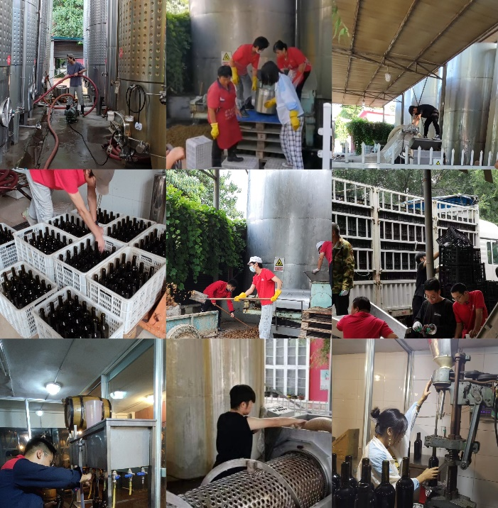 9f248b37acf2476293d4f39551ec2de0.png 9f248b37acf2476293d4f39551ec2de0.png