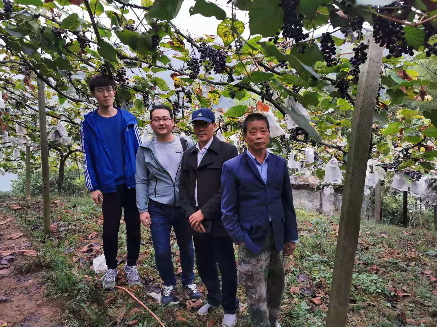 8306148cfb2e4b51b7f4e244ebd0fceb.jpg 8306148cfb2e4b51b7f4e244ebd0fceb.jpg